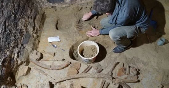 عمره 40 ألف عام.. العثور على عظام حيوان الماموث المنقرض بالنمسا عمره 40 ألف عام.. العثور على عظام حيوان الماموث المنقرض بالنمسا