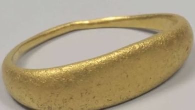 العثور على 2200 قطعة أثرية من عصور ما قبل التاريخ فى نهر أراد بالبرتغال