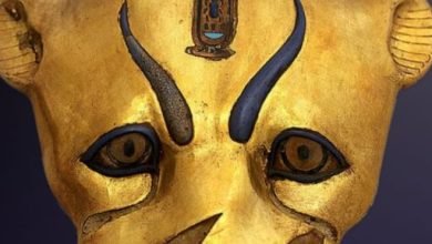 مقتنيات المتحف المصرى.. شاهد رأس نمر من مقبرة توت عنخ آمون