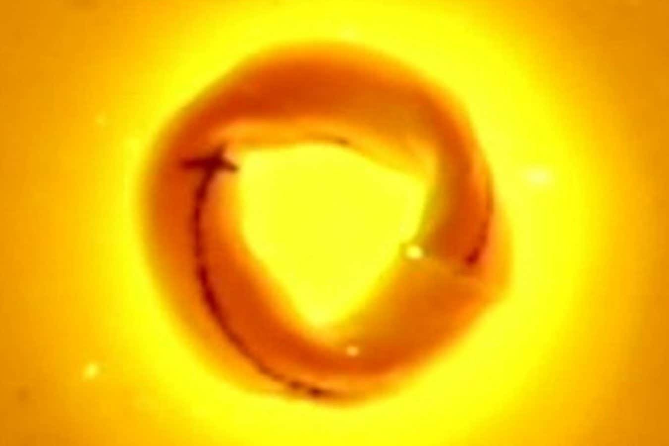 شاهد روبوت الشريط Möbius وهو يتحرك ويتسلق عندما يضربه الضوء