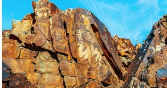 الكشف عن فن صخري عمره 3500 عام يجسد الأغنام البرية في كازاخستان