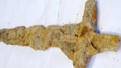 العثور على سيف فايكنج نادر عمره 1050 عام في النرويج.. شاهده العثور على سيف فايكنج نادر عمره 1050 عام في النرويج.. شاهده
