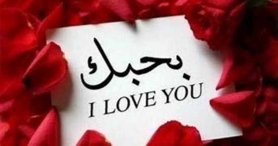 أنا أرتجف عشقًا .. ماذا يحدث فى “لهيب العاطفة”؟ أنا أرتجف عشقًا .. ماذا يحدث فى “لهيب العاطفة”؟