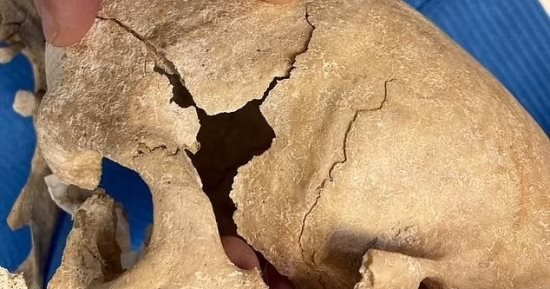 مفاجأة من العصور الوسطى.. النساء قاتلن ومتن بجانب الرجال فى إسبانيا مفاجأة من العصور الوسطى.. النساء قاتلن ومتن بجانب الرجال فى إسبانيا