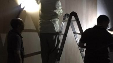 قبل انطلاقه.. كل ما تريد معرفته عن معرض “فى صحبة محمود سعيد”