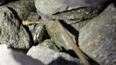 بواسطة الأقمار الصناعية.. اكتشاف رأس سهم فايكنج متجمدًا فى الجليد بالنرويج