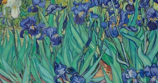 تحليل جديد يكشف أسرار لوحة فان جوخ “القزحيات” تحليل جديد يكشف أسرار لوحة فان جوخ “القزحيات”