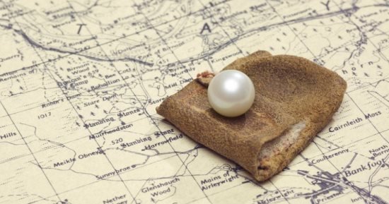 عرض إحدى أكبر اللآلئ الاسكتلندية للبيع بالمزاد بـ77 ألف دولار
