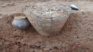 اكتشاف مدافن لحرق الجثث من العصر الحديدي عمرها 2000 عام بألمانيا