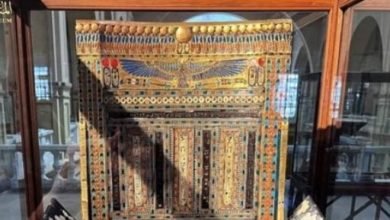 مقتنيات المتحف المصري.. شاهد كرسي الاحتفالات للملك توت عنخ آمون