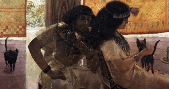 بيحلقوا حواجبهم.. طريقة حزن المصريين القدماء على القطط