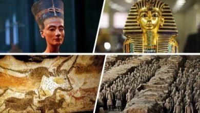 قطع أثرية لا تقدر بثمن.. رأس نفرتيتى وقناع توت عنخ آمون الأبرز