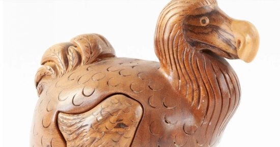 عرض مجموعة من عظام طائر الدودو للبيع بـ33 ألف دولار بالمزاد عرض مجموعة من عظام طائر الدودو للبيع بـ33 ألف دولار بالمزاد
