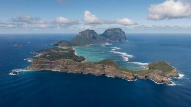 صور جزيرة الفردوس تكشف عن التهديد البلاستيكي لسكان الطيور