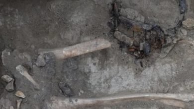 مدافن غامضة ذات شارب في كازاخستان تعود إلى العصور الوسطى.. اعرف قصتها