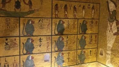 أغلى كنوز تم العثور عليها في التاريخ.. أبرزها مقبرة توت عنخ آمون