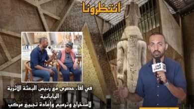 رئيس البعثة الأثرية اليابانية: بحب الكشري وبعمله أحسن من المصريين