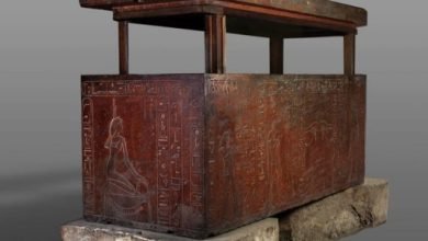 مقتنيات المتحف المصري.. تابوت الملكة حتشبسوت