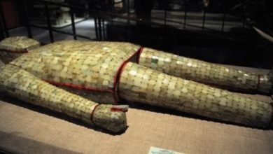 تعرف إيه عن بدلة “الخلود” عمرها 2000 عام؟ تعرف إيه عن بدلة “الخلود” عمرها 2000 عام؟