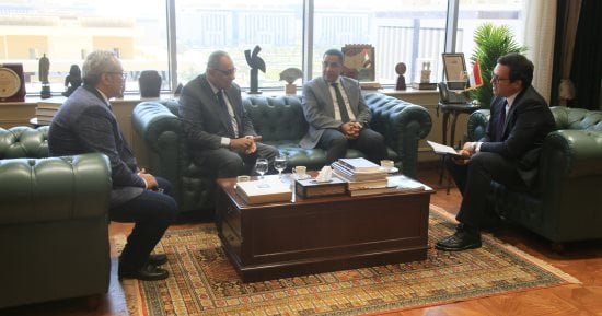 عمرو البسيوني وكيلا دائما لوزارة الثقافة وأمير نبيه مستشارا للوزير