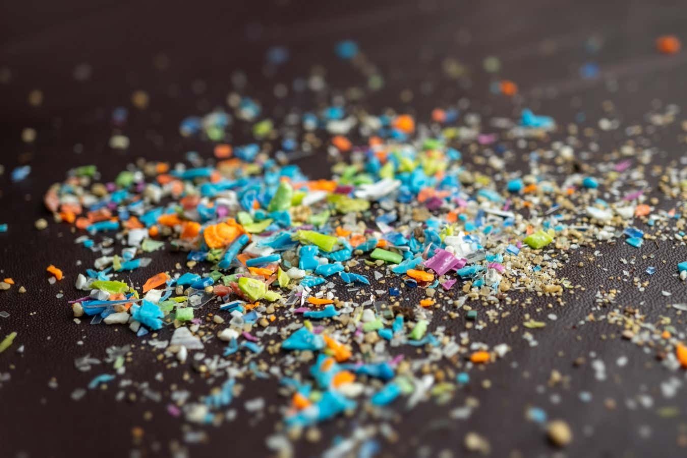 إلى أي مدى يجب أن نقلق بشأن الآثار الصحية للجسيمات البلاستيكية الدقيقة؟ إلى أي مدى يجب أن نقلق بشأن الآثار الصحية للجسيمات البلاستيكية الدقيقة؟