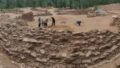 اكتشاف قطع أثرية عمرها 5 آلاف عام فى موقع دفن قديم بالصين اكتشاف قطع أثرية عمرها 5 آلاف عام فى موقع دفن قديم بالصين