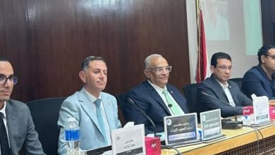 تمثيل مصر في بينالي فينسيا للعمارة منح شباب المعماريين فرصة أكبر للترشح