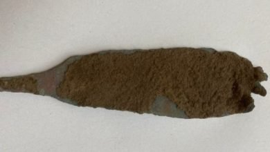 اكتشاف خنجر من العصر النحاسى عمره أكثر من 4 آلاف سنة فى كهف شمال إيطاليا اكتشاف خنجر من العصر النحاسى عمره أكثر من 4 آلاف سنة فى كهف شمال إيطاليا