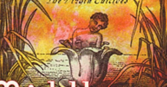 أفضل 100 رواية فى القرن الحادى والعشرين.. اليونانيون فى أمريكا أفضل 100 رواية فى القرن الحادى والعشرين.. اليونانيون فى أمريكا