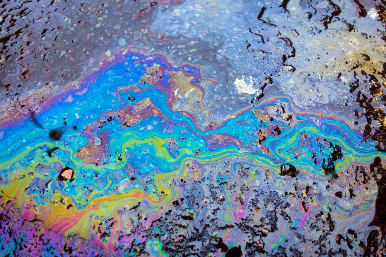 خدعة ذكية تفصل الزيت عن الماء بنسبة نقاء تصل إلى 99.9%