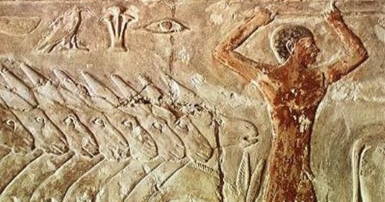 دفنات الحمير في الحضارة المصرية.. هل اعتبرها الفراعنة حيوانات شريرة؟