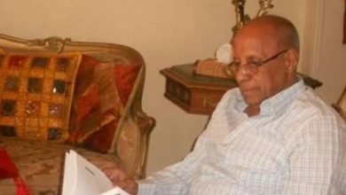 يوم اللغة العربية.. أحمد درويش يكتب: اللغة كائن حي لو لم نهتم به يموت