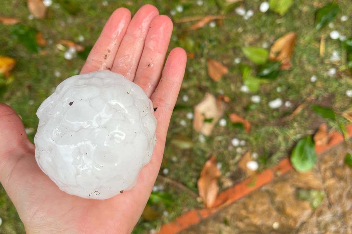 لماذا قام العلماء بمسح حبات البرد العملاقة في عيادة طبيب الأسنان لماذا قام العلماء بمسح حبات البرد العملاقة في عيادة طبيب الأسنان