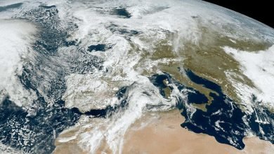 يمكن أن تتيح الخوارزمية المستوحاة