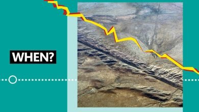 لقد وصلنا أخيرًا إلى السيطرة على كيفية بدء Tectonics لوحة