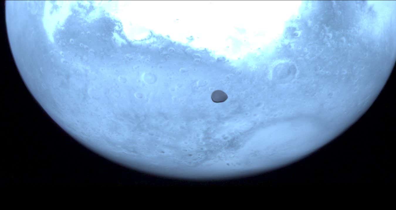تلتقط مهمة Hera Asteroid صورًا مذهلة لـ Mars’s Moon Deimos تلتقط مهمة Hera Asteroid صورًا مذهلة لـ Mars’s Moon Deimos