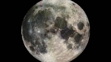 نصف القمر أكثر سخونة من الآخر