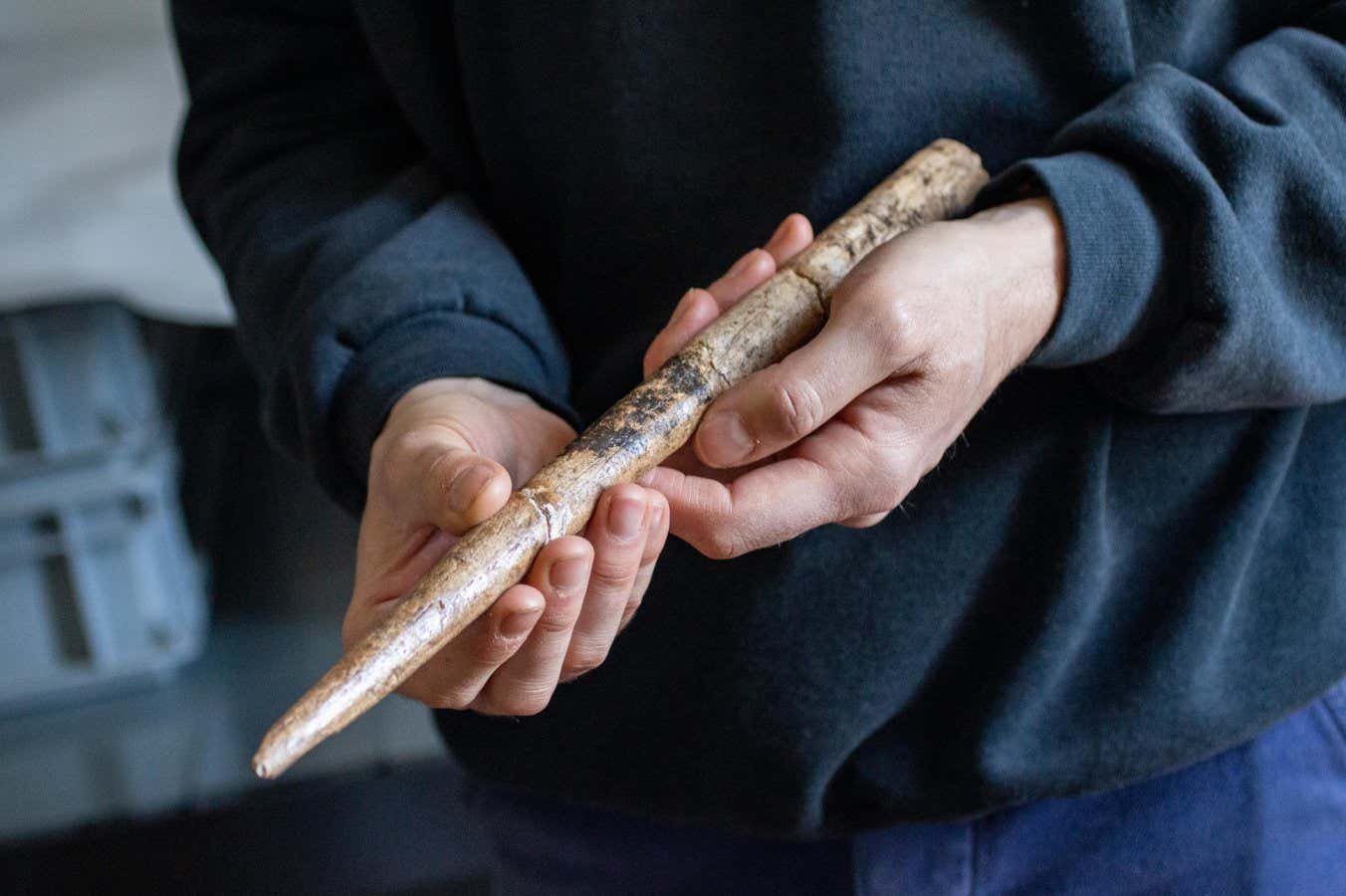 كان البشر صياغة أدوات من عظام الحوت قبل 20 ألف عام كان البشر صياغة أدوات من عظام الحوت قبل 20 ألف عام